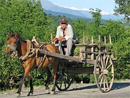 30.5.2006 - Von Lagodheki nach Kvareli