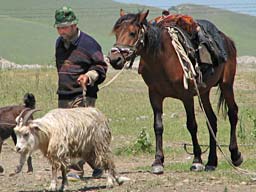 31.5.2006 - Georgischer Cowboy