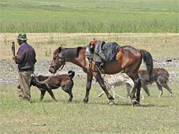 31.5.2006 - Georgischer Cowboy