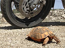 11.6.2007, von Antalya nach Kas 11.6.2007, von Antalya nach Kas